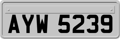 AYW5239