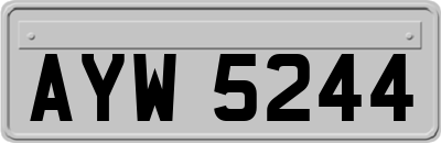 AYW5244
