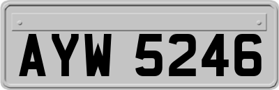 AYW5246
