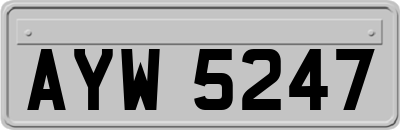 AYW5247