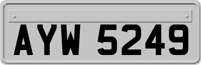 AYW5249