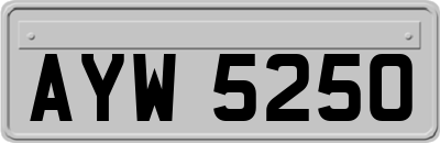 AYW5250