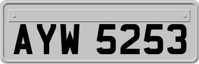 AYW5253