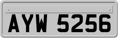 AYW5256