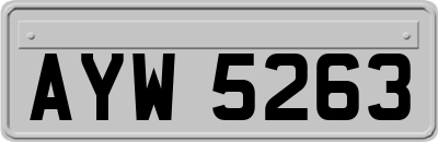AYW5263
