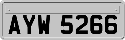 AYW5266