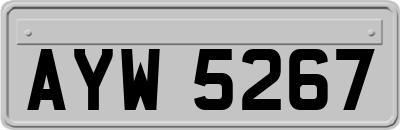 AYW5267