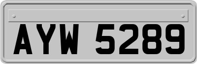 AYW5289