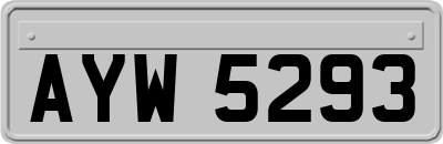 AYW5293
