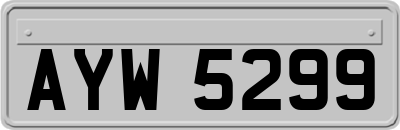 AYW5299