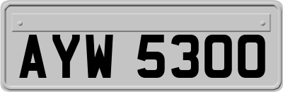 AYW5300