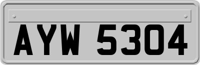 AYW5304
