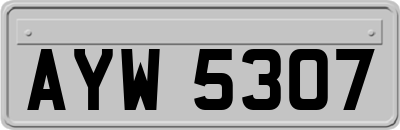 AYW5307