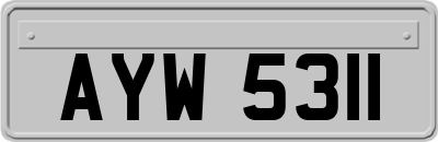 AYW5311