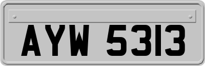 AYW5313