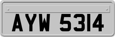 AYW5314