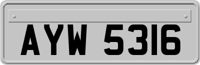 AYW5316