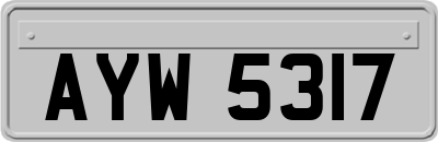 AYW5317