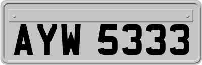 AYW5333