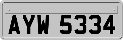 AYW5334