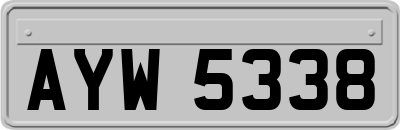 AYW5338