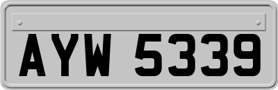AYW5339