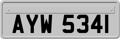 AYW5341