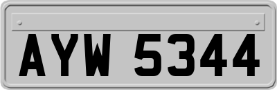 AYW5344