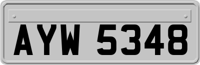 AYW5348
