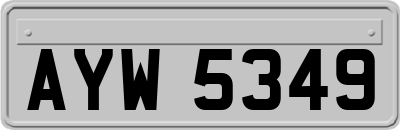 AYW5349