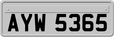 AYW5365