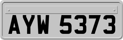 AYW5373