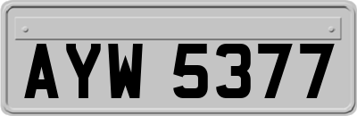 AYW5377