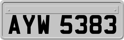 AYW5383