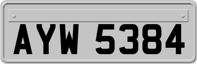 AYW5384