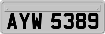 AYW5389