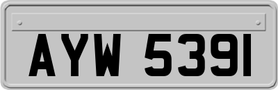 AYW5391