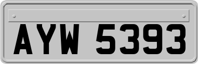 AYW5393