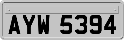 AYW5394