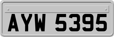 AYW5395