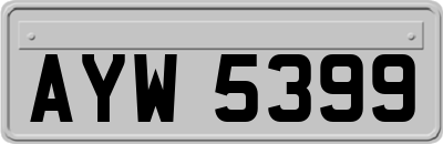 AYW5399