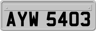 AYW5403