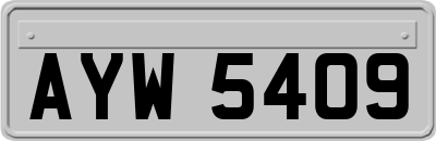 AYW5409