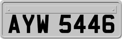 AYW5446