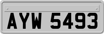 AYW5493