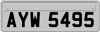 AYW5495