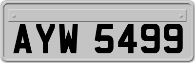 AYW5499