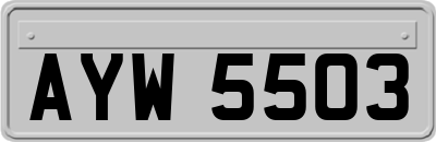 AYW5503
