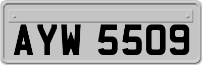 AYW5509