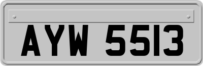 AYW5513